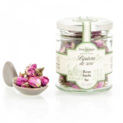 Pot boutons de rose